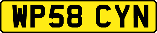 WP58CYN