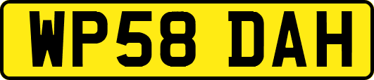 WP58DAH