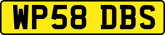 WP58DBS