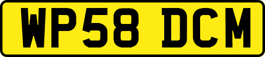 WP58DCM