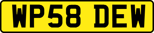 WP58DEW