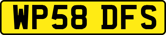 WP58DFS