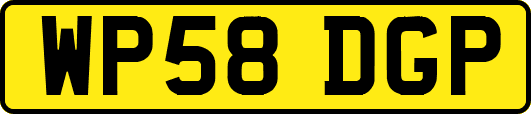 WP58DGP