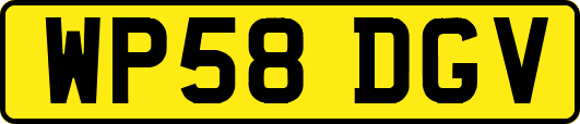 WP58DGV