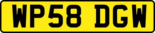 WP58DGW