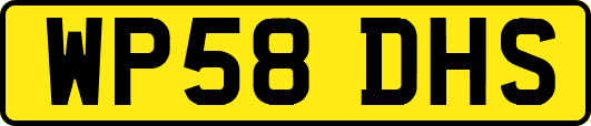 WP58DHS
