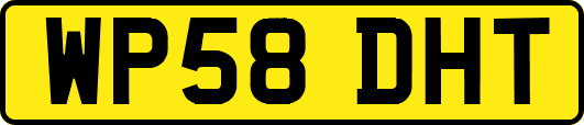 WP58DHT