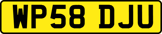 WP58DJU