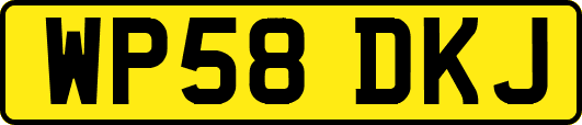 WP58DKJ