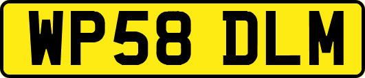 WP58DLM