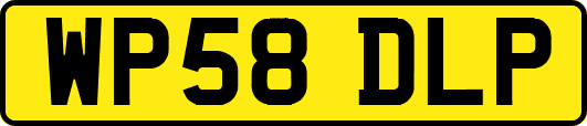 WP58DLP