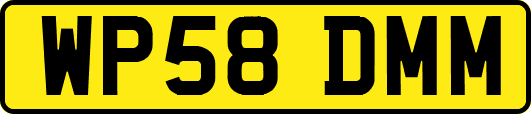 WP58DMM