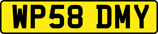 WP58DMY