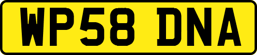 WP58DNA