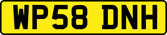 WP58DNH