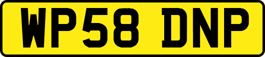 WP58DNP