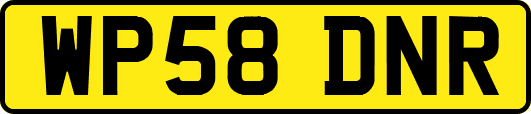 WP58DNR