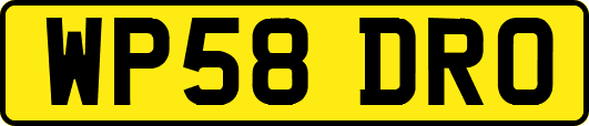 WP58DRO