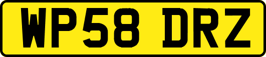 WP58DRZ