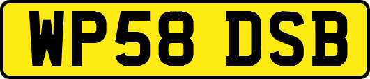 WP58DSB