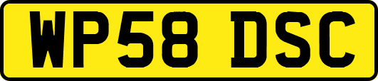 WP58DSC