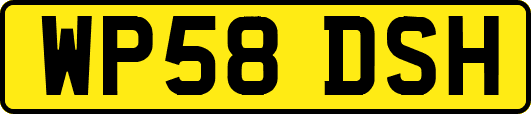 WP58DSH