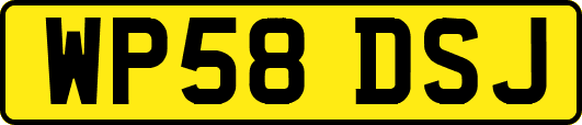 WP58DSJ
