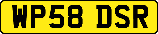 WP58DSR