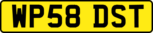 WP58DST