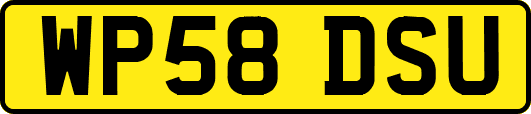 WP58DSU