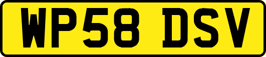 WP58DSV
