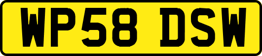 WP58DSW