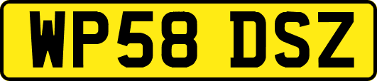 WP58DSZ