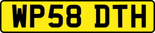 WP58DTH