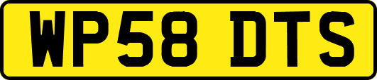 WP58DTS