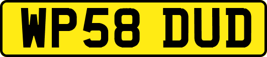 WP58DUD