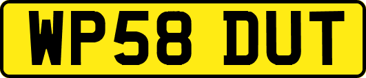 WP58DUT