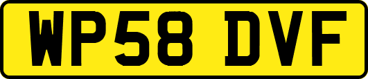 WP58DVF