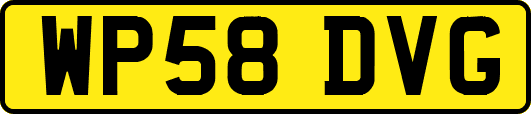 WP58DVG