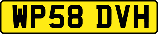 WP58DVH