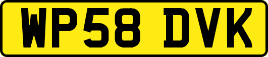 WP58DVK