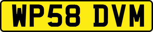 WP58DVM
