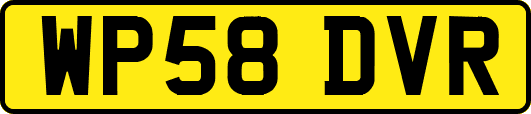 WP58DVR