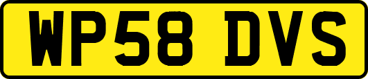 WP58DVS