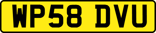 WP58DVU