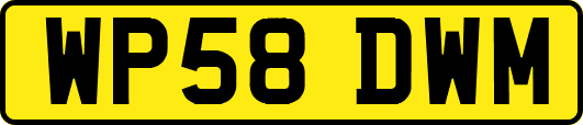 WP58DWM