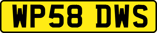 WP58DWS