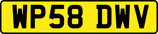 WP58DWV
