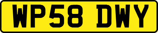 WP58DWY