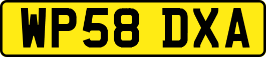 WP58DXA